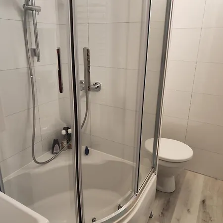 Apartment Rokytnicka Rokytnice v Orlickych Horach