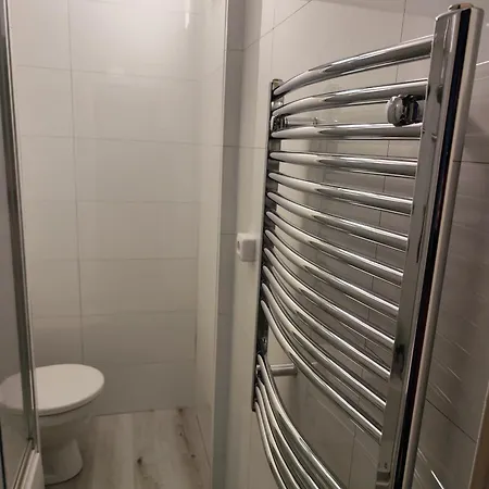 Rokytnicka Apartment *