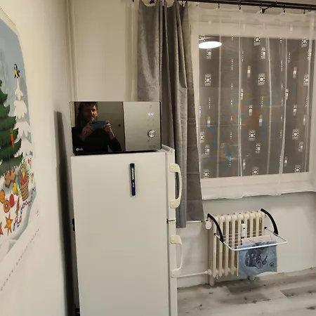 Rokytnicka Apartment *
